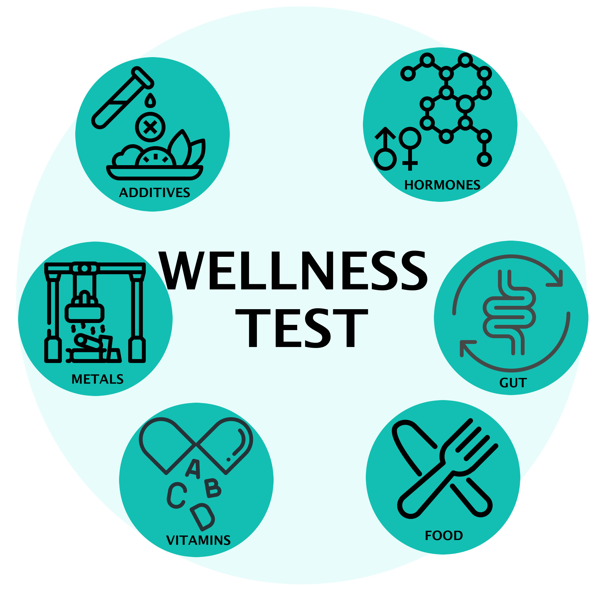 Wellness Test diagram